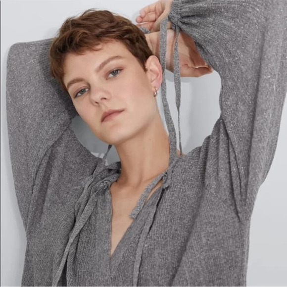 ZARA Dress with Metallic Thread silver long sleeve with slip size med NWT - Picture 7 of 15